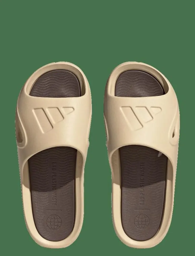Kvinnor adidas Sportswear Sommarskor|Badtofflor|ADICANE SLIDES - Badtofflor