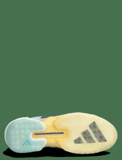 Kvinnor adidas Performance Skor|Sportskor|Adizero Counterblast W - Skor