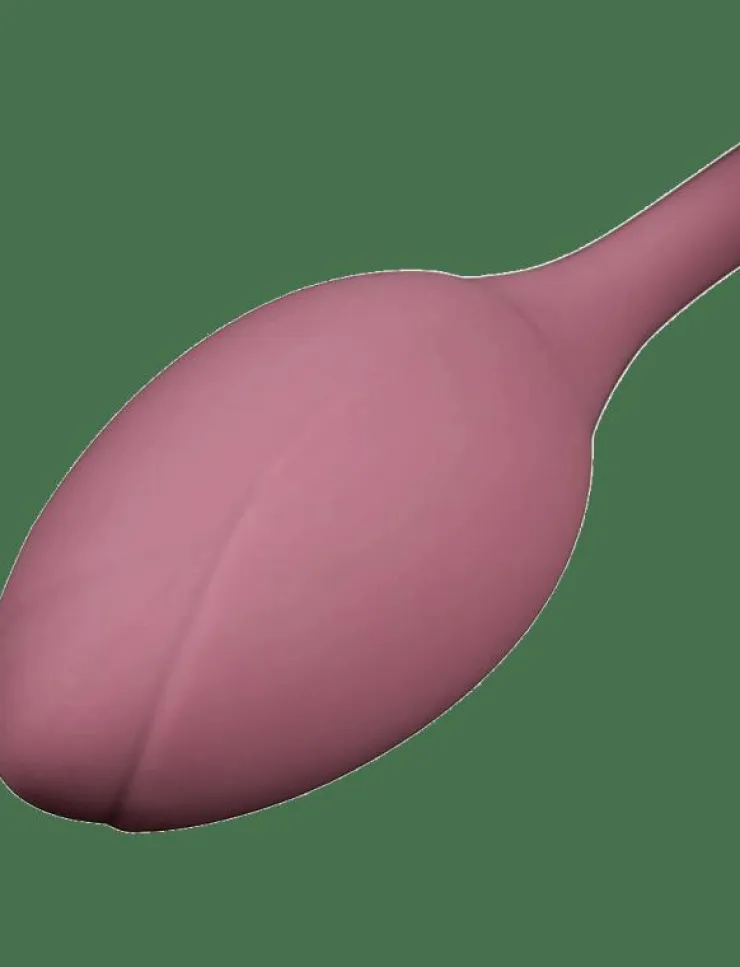 Kvinnor Amaysin Sex & Intimitet|Licking Rose and Egg Vibrator - Beauty