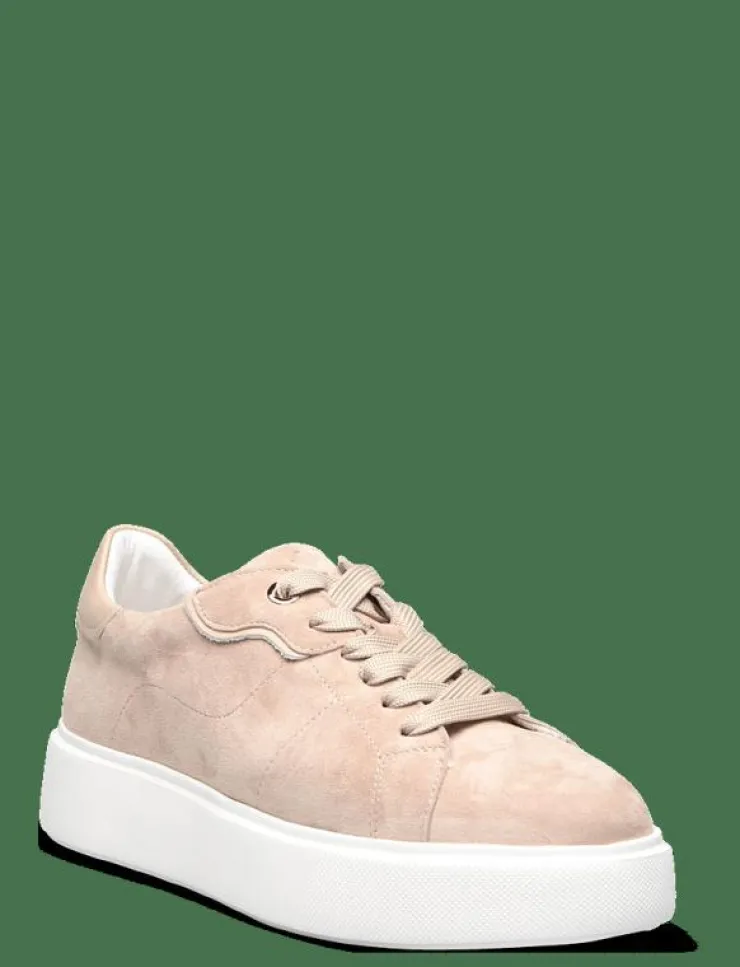Kvinnor Dasia Sneakers|Ardisia - Låga sneakers