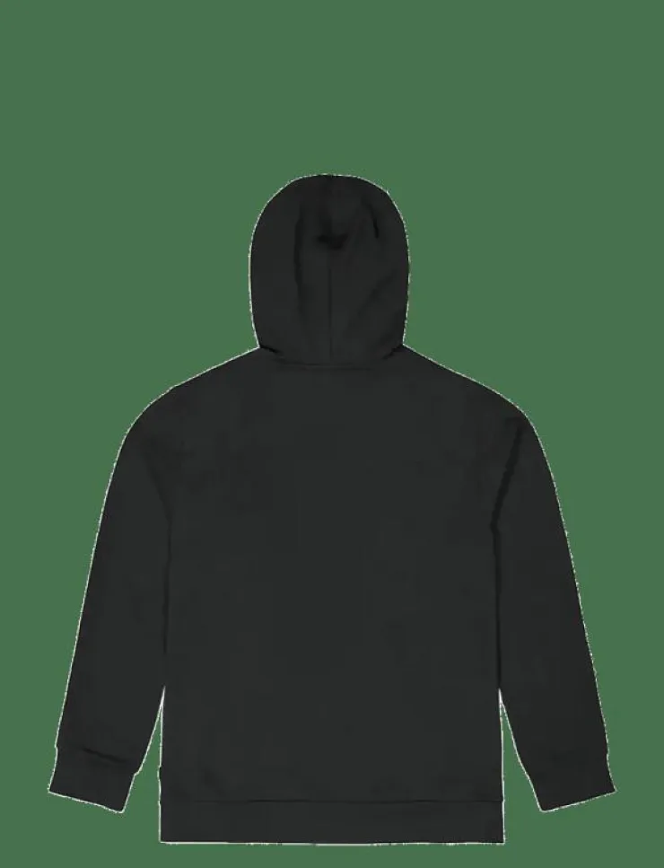 PICTURE ORGANIC CLOTHING BASEMENT HOODIE - Huvtröjor| Sweatshirts
