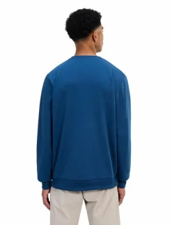 Berghaus Sweatshirts|BG M LOGO CREW LIGHT - Sweatshirts