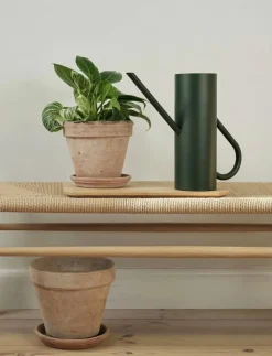 Stelton Vattenkannor|Bloom vattenkanna 2 l. - Vattenkannor
