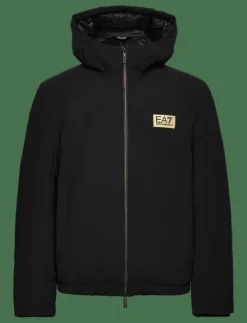 EA7 BOMBER JACKET - Fodrade jackor| Jackor & Rockar