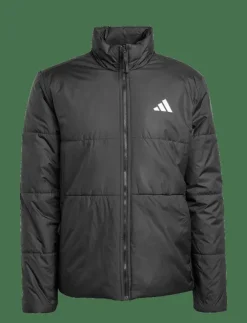 adidas Sportswear Jackor|BSC 3S INS JKT - Friluftsjacka