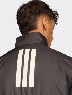 adidas Sportswear Jackor|BSC 3S INS JKT - Friluftsjacka