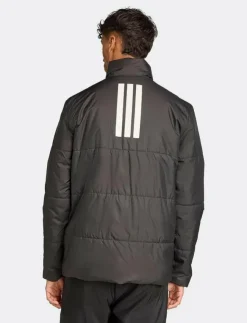 adidas Sportswear Jackor|BSC 3S INS JKT - Friluftsjacka