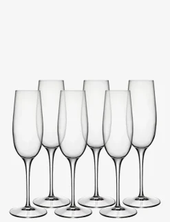 Luigi Bormioli Glas|Champagneglas palace 23,5 cl 6 st klar - Champagneglas