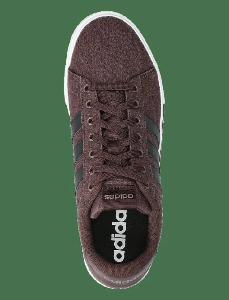 adidas Sportswear Skor|Sportskor|DAILY 4.0 - Låga sneakers