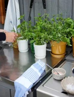 Sagaform Ditte liten skål 2-pack - Frukostskålar| Skålar