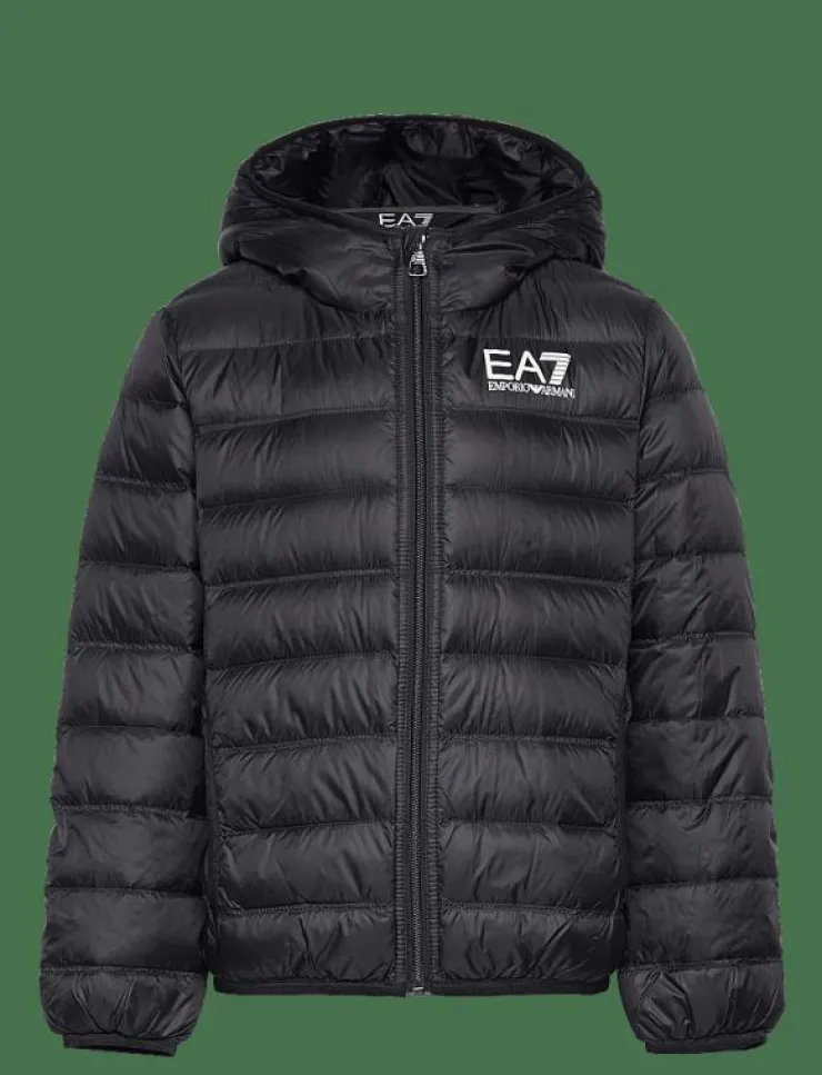 EA7 DOWN JACKET - Dunjackor & fodrade jackor|Barn Ytterkläder