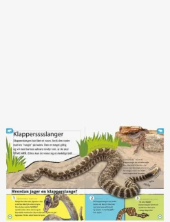 Barn GLOBE Barnböcker|Dyreleksikon for de yngste - Pedagogisk barnbok