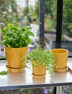Sagaform Elise Pot - Krukor| Krukor