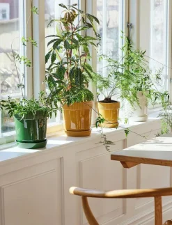 Sagaform Elise Pot - Krukor| Krukor