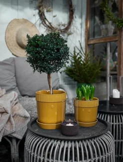 Sagaform Elise Pot - Krukor| Krukor