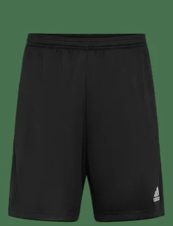 adidas Performance ENT22 TR SHO - Träningsshorts| Shorts