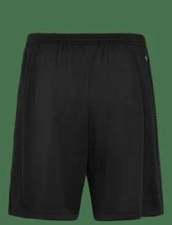 adidas Performance ENT22 TR SHO - Träningsshorts| Shorts