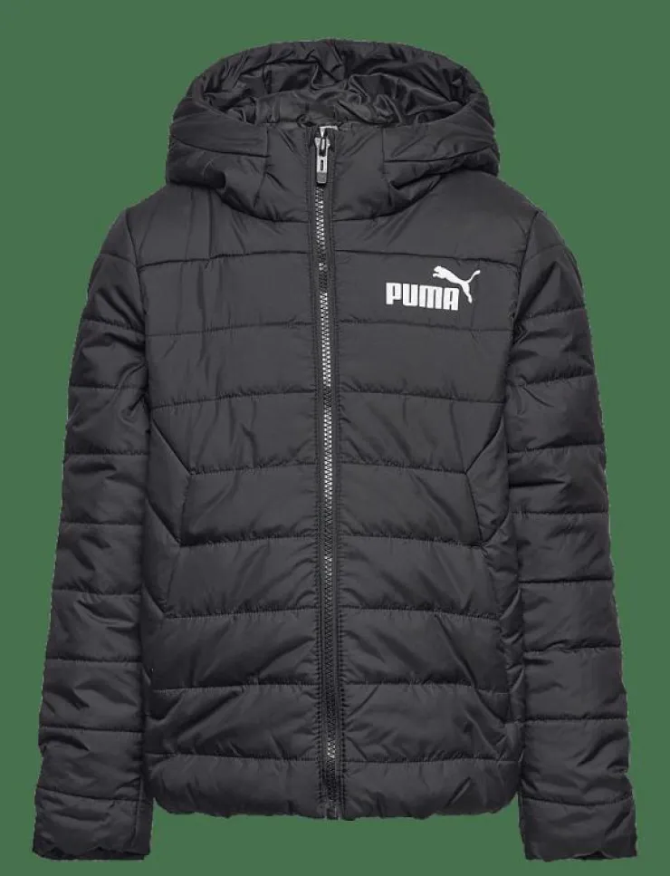 Barn PUMA Ytterkläder|ESS Hooded Padded Jacket - Dunjackor & fodrade jackor