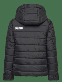 Barn PUMA Ytterkläder|ESS Hooded Padded Jacket - Dunjackor & fodrade jackor