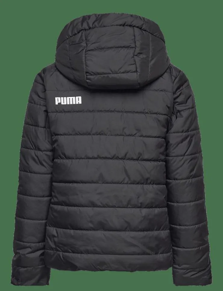 Barn PUMA Ytterkläder|ESS Hooded Padded Jacket - Dunjackor & fodrade jackor