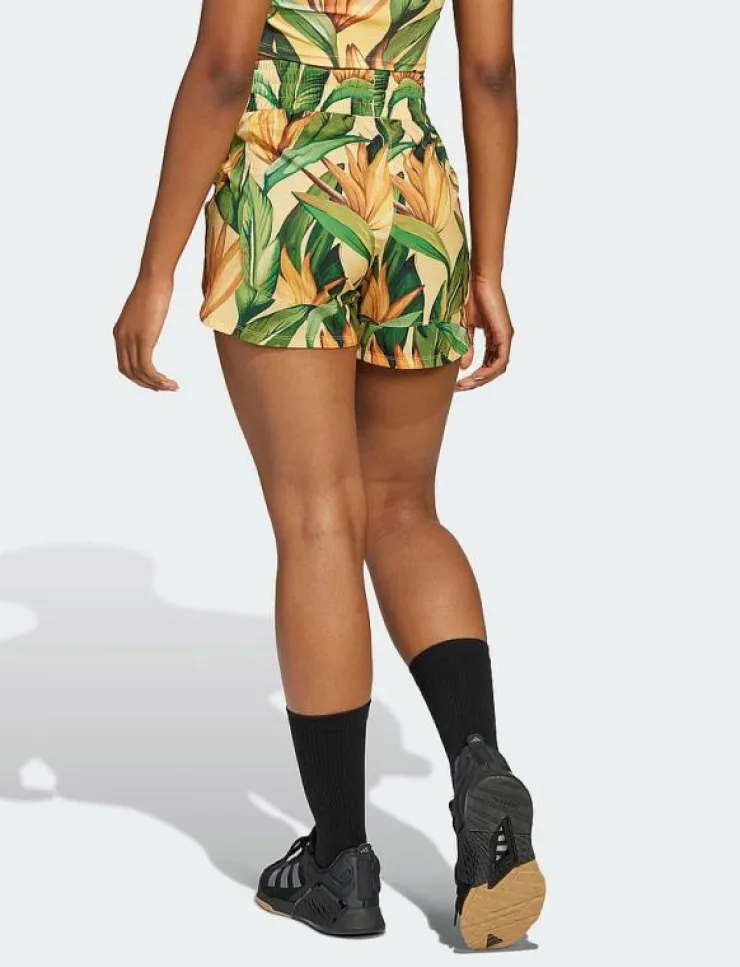 Kvinnor adidas Performance Shorts|FARM SHORTS - Träningsshorts