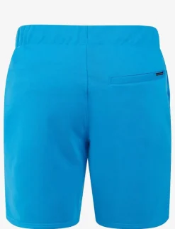 Didriksons Shorts|FEJAN USX SHORTS - Sweatshorts