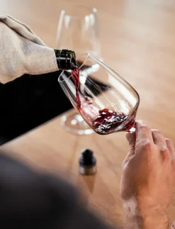 Zwilling Fresh & Save, Vakuum vinförslutare Grå - Vinöppnare & Korkskruvar| Drink & Bartillbehör