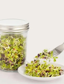 Kilner Frögrodd set ® - Köksredskap| Köksredskap