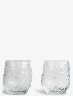 Byon Glass Swan 2pcs/set - Dricksglas| Glas