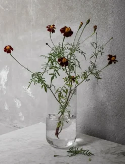 ERNST Vaser|Glassvase - Tulpanvas