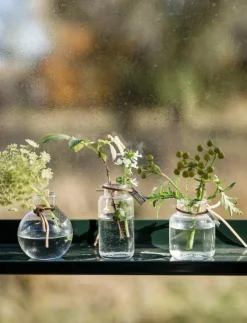ERNST Glassvases 3-p - Vaser| Vaser