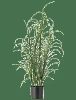 Bloomingville Grass Artificial Plant - Torkade blommor| Torkade Blommor