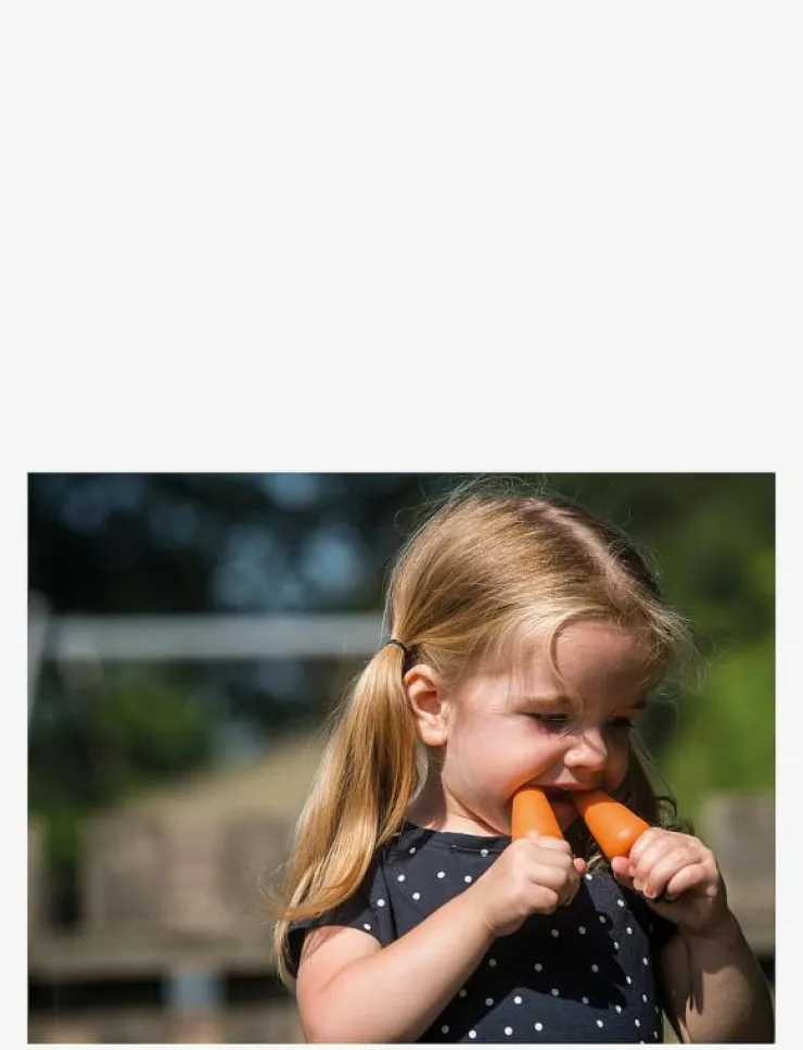 Dantoy GREEN GARDEN FRUIT & VEGETABLES IN NET 10 PCS - Leksaksmat & Leksakstårtor|Barn Leksakskök & Tillbehör