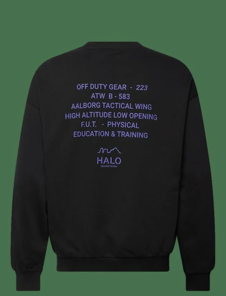 HALO Sweatshirts|GRAPHIC BOXY CREW - Sweatshirts
