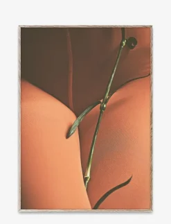 Paper Collective Hold Tight 30x40 - Fotokonst| Posters & Ramar