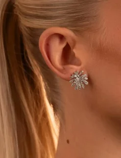 Kvinnor SNÖ of Sweden Smycken|Holly sparkling small ear - Onesize - Studs örhängen