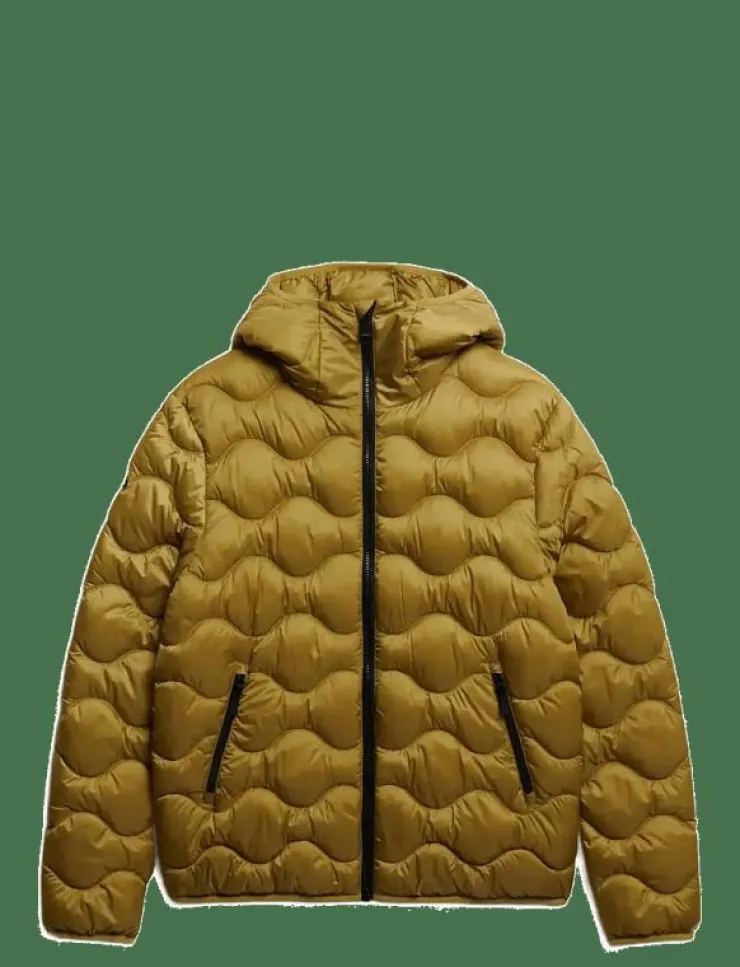 Superdry Sport Jackor|HOODED QUILTED WAVE PADDED JKT - Dunjackor