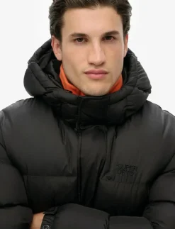 Superdry Jackor & Rockar|HOODED TECH PADDED JKT - Fodrade jackor