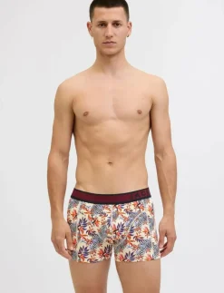 Jack & Jones Kalsonger|JACLANDON TRUNKS 10 PACK - Boxershorts