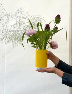 PANTONE JAR CONTAINER + GIFTBOX - Vaser| Vaser