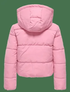 Barn Kids Only Jackor|KOGMALIA SHORT PUFFER JACKET OT OTW - Dunjackor & fodrade jackor
