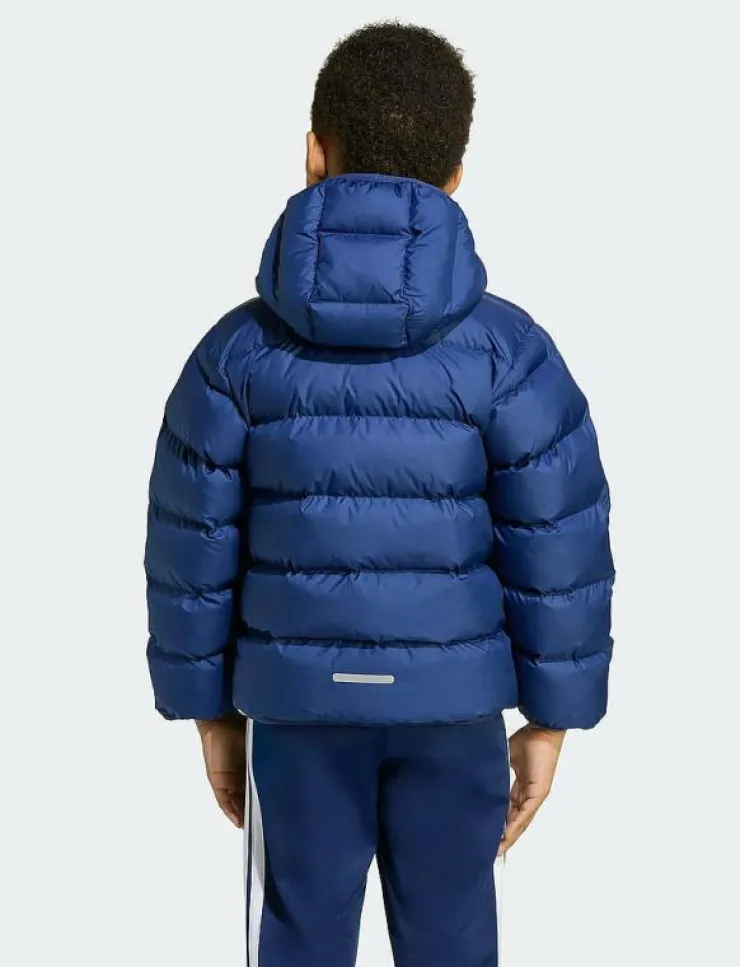 Barn adidas Sportswear Ytterkläder|LK SD JKT - Dunjackor & fodrade jackor