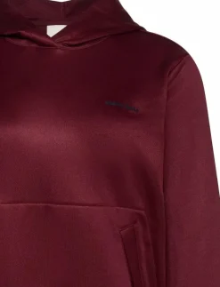 Kvinnor Calvin Klein Jeans Sweatshirts|LS HIGH SHINE FRENCH TERRY HOODI - Huvtröjor