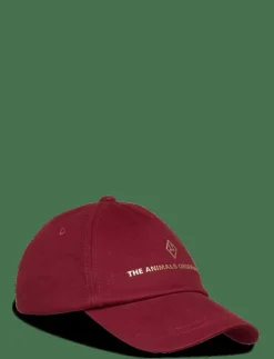 Barn THE ANIMALS OBSERVATORY Kepsar|Hamster Cap - Kepsar