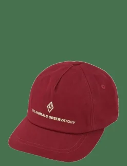 THE ANIMALS OBSERVATORY Hamster Cap - Kepsar|Barn Kepsar