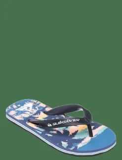 Barn Quiksilver Flip-Flops & Badskor|MOLOKAI ART 25 YOUTH - Sandaler