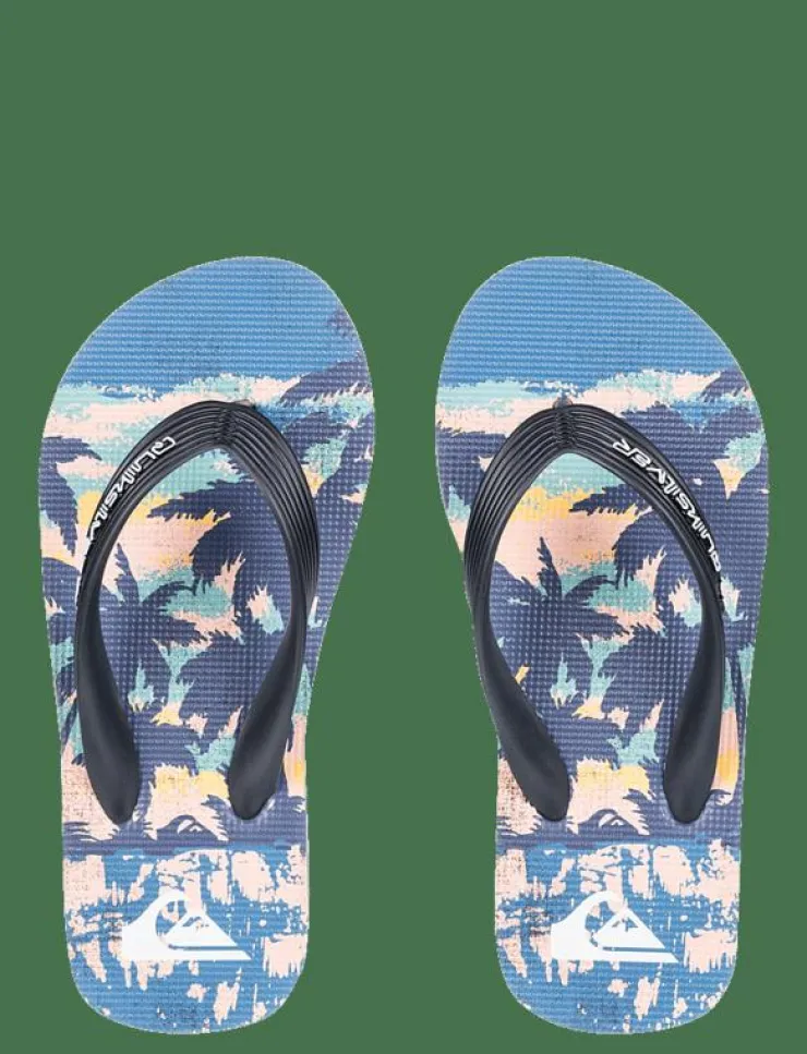 Barn Quiksilver Flip-Flops & Badskor|MOLOKAI ART 25 YOUTH - Sandaler