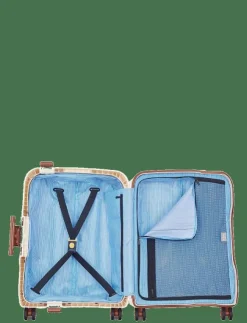 Kvinnor DELSEY PARIS Resväskor & Tillbehör|MONCEY 55 cm 4DW slim cabin case - Resväskor