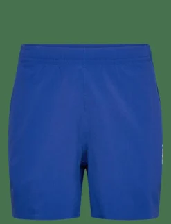 2XU MOTION 6 INCH SHORTS - Träningsshorts| Shorts