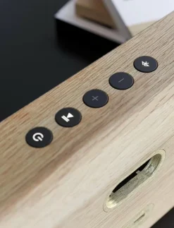 SACKit Hemelektronik|Move Wood - Högtalare